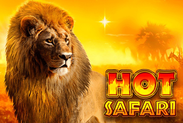 HotSafari